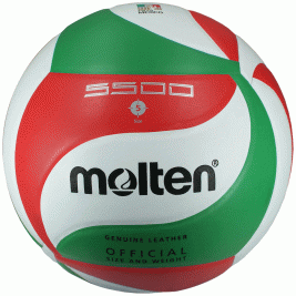 Voleibol MOLTEN V5M-5500